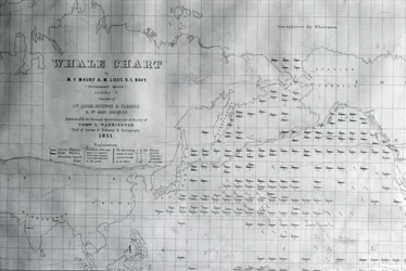 Carte des baleines du Pacifique Nord, 1851
